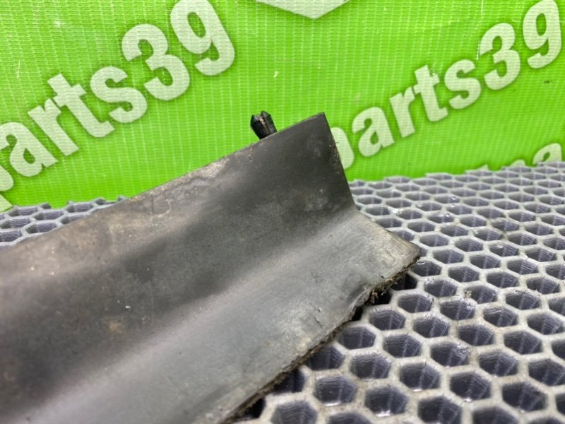 Брызговик, 1000 рублей, Калининград