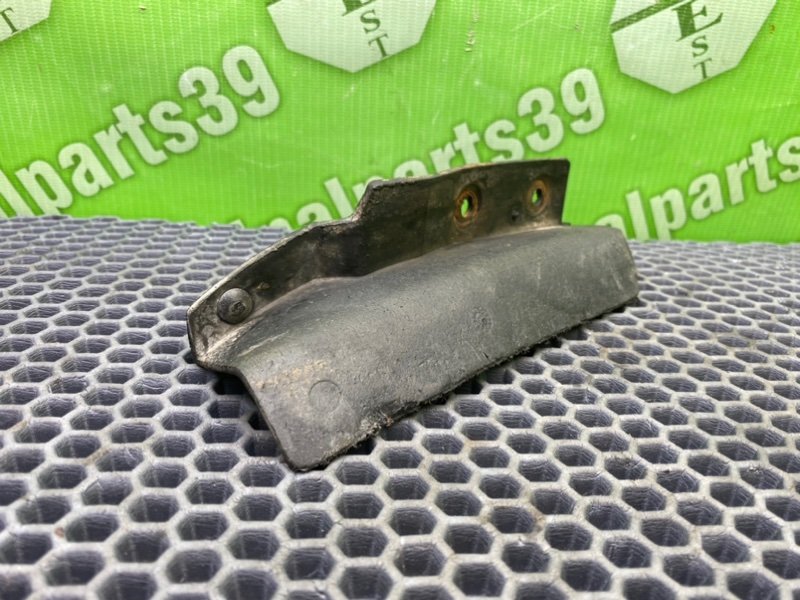 Брызговик, 1000 рублей, Калининград