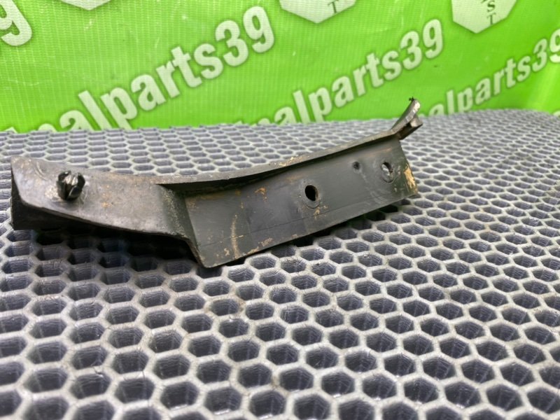 Брызговик, 1000 рублей, Калининград