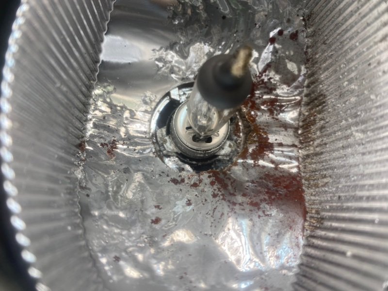 Птф, 1900 рублей, Калининград