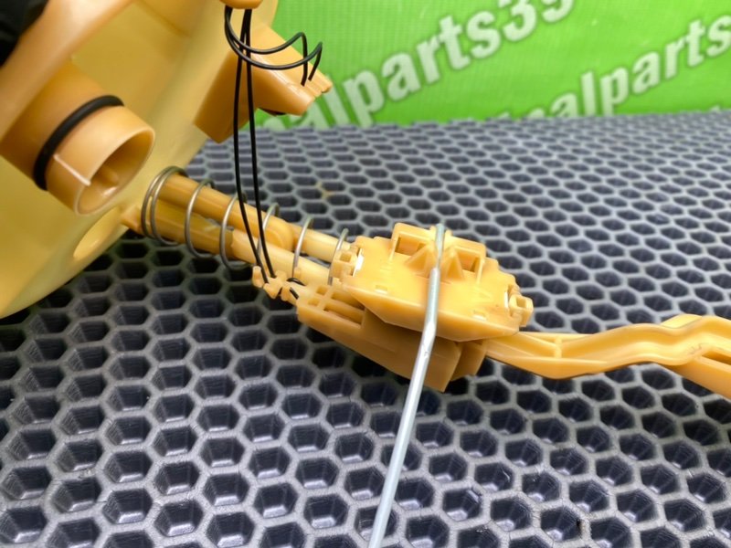 Дут, 1600 рублей, Калининград