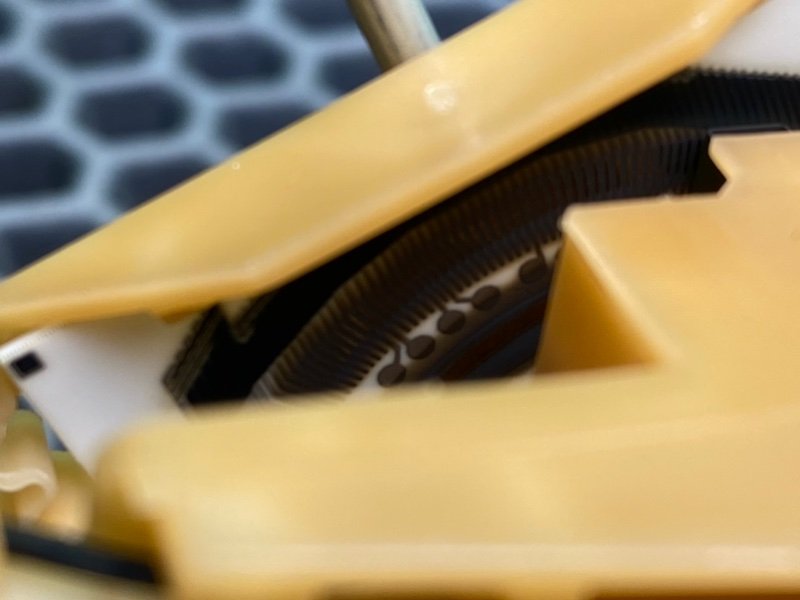 Дут, 1600 рублей, Калининград