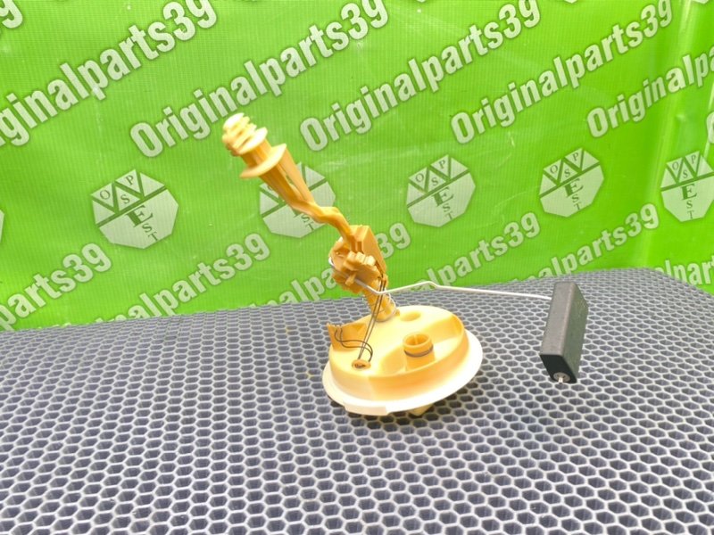 Дут, 1600 рублей, Калининград