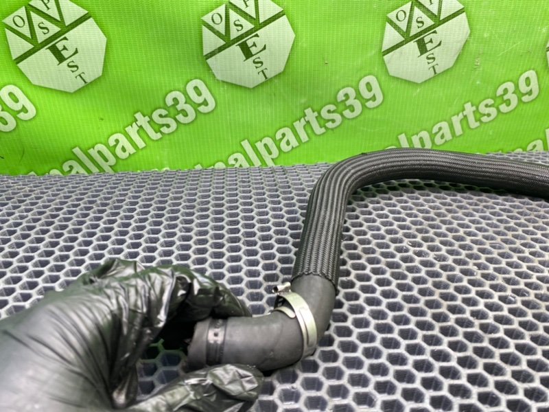 Шланг гур, 800 рублей, Калининград