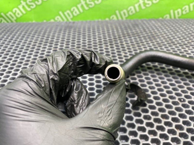 Трубка Гур, 1000 рублей, Калининград