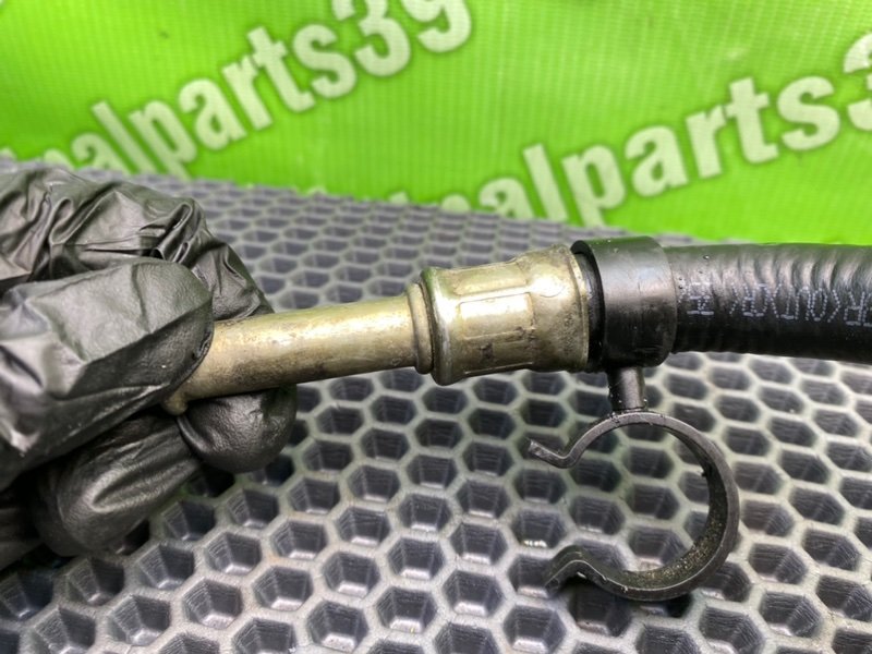 Трубка Гур, 1000 рублей, Калининград