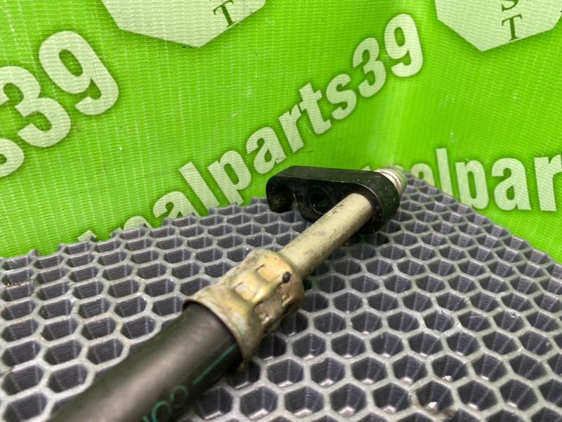 Трубка Гур, 1000 рублей, Калининград