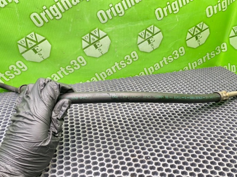 Трубка Гур, 1000 рублей, Калининград