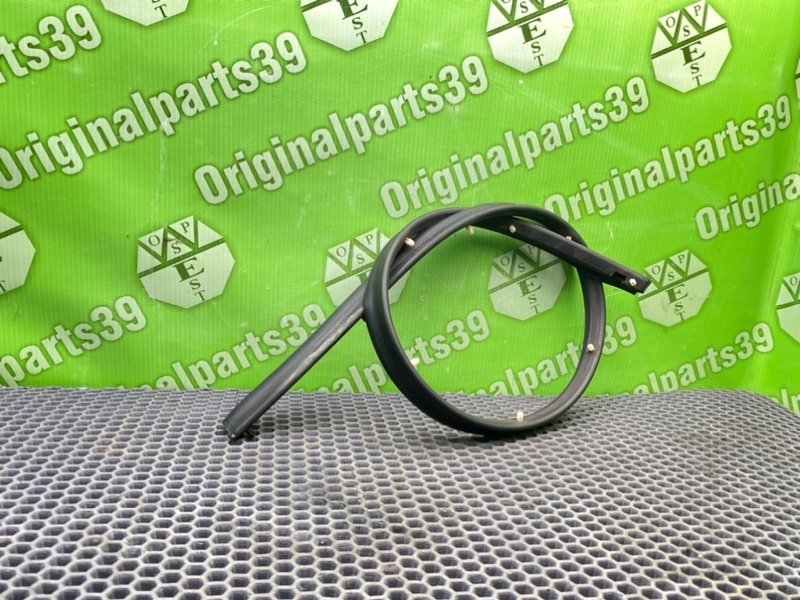 Уплотнитель, 1000 рублей, Калининград