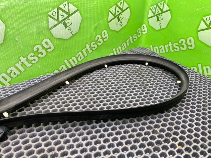 Уплотнитель, 1000 рублей, Калининград