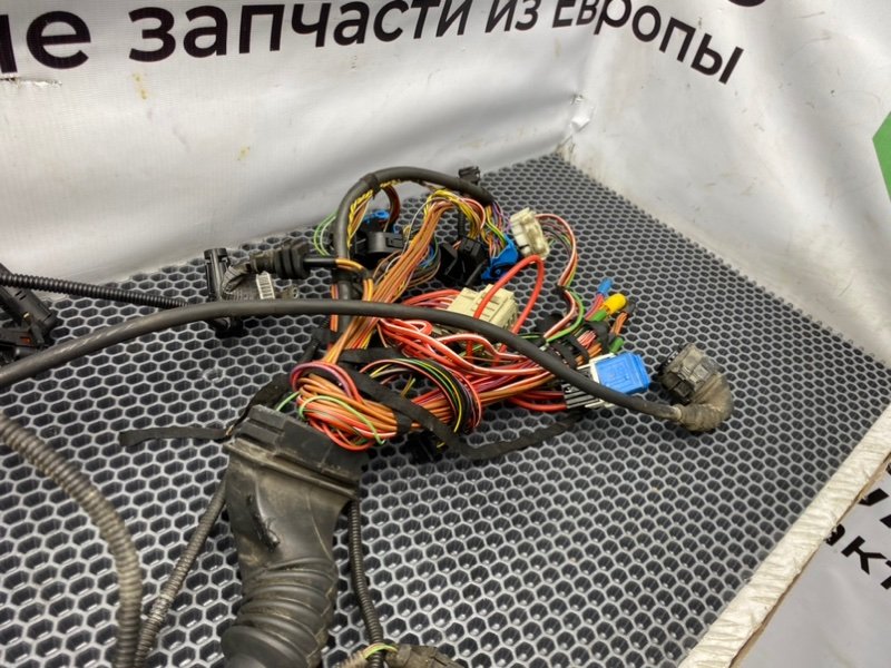 Проводка ДВС, 5200 рублей, Калининград