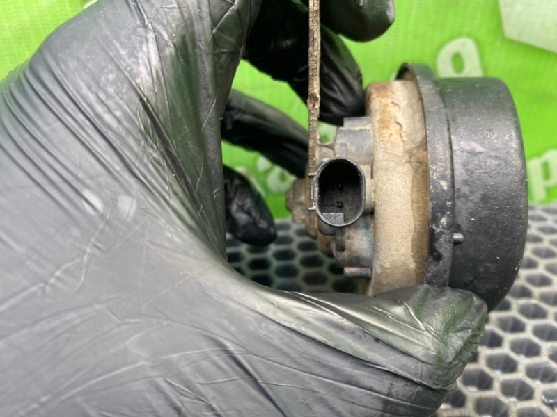 Звуковой сигнал, 900 рублей, Калининград