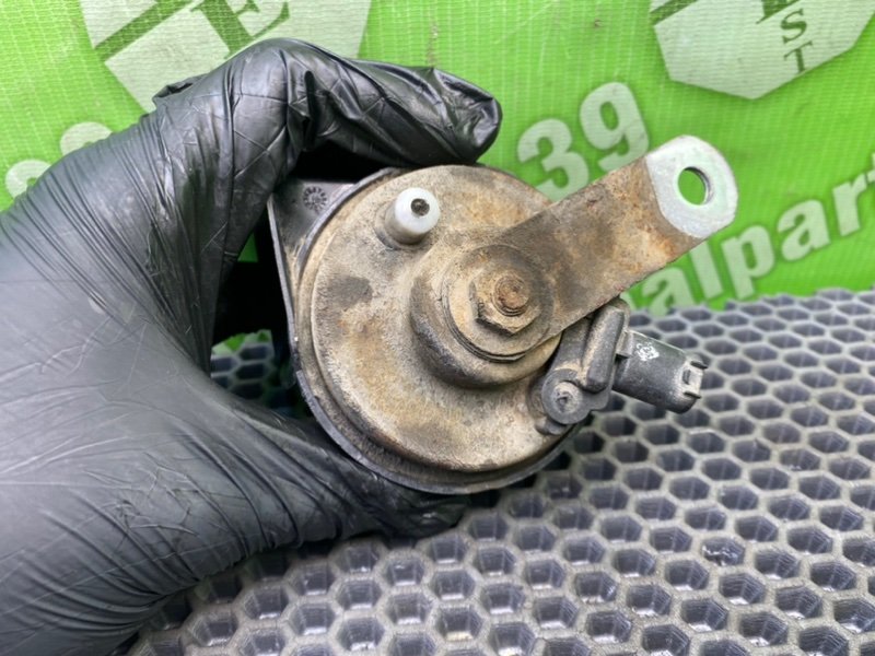 Звуковой сигнал, 900 рублей, Калининград