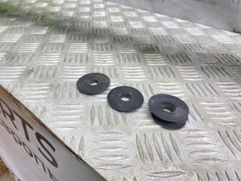 Жабо, 1900 рублей, Калининград