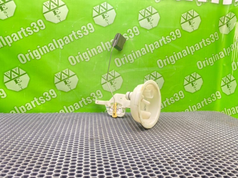 Дут, 1600 рублей, Калининград