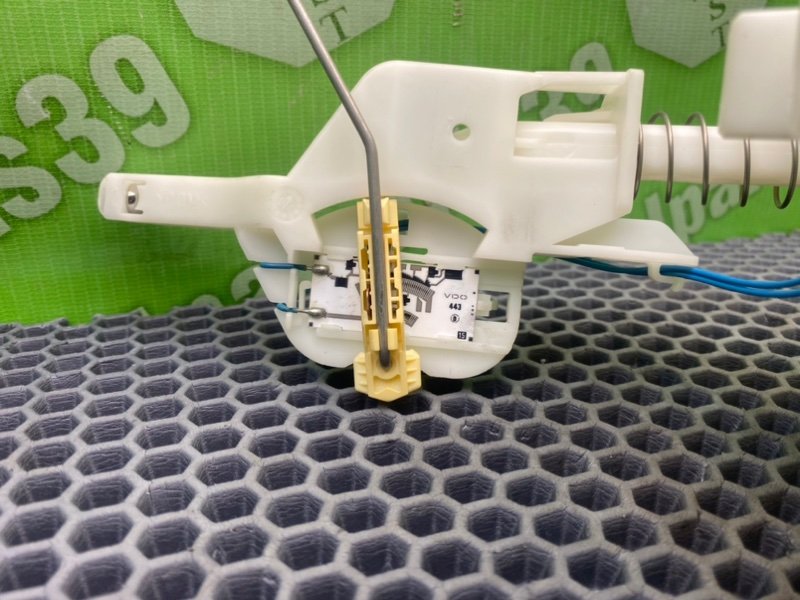 Дут, 1600 рублей, Калининград