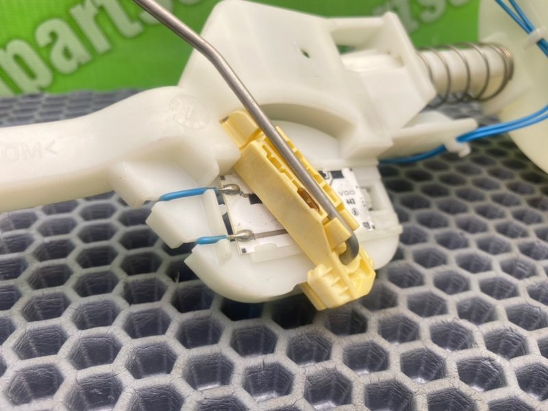 Дут, 1600 рублей, Калининград