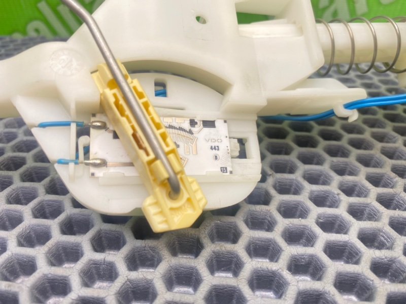 Дут, 1600 рублей, Калининград