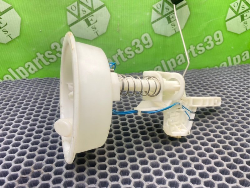 Дут, 1600 рублей, Калининград