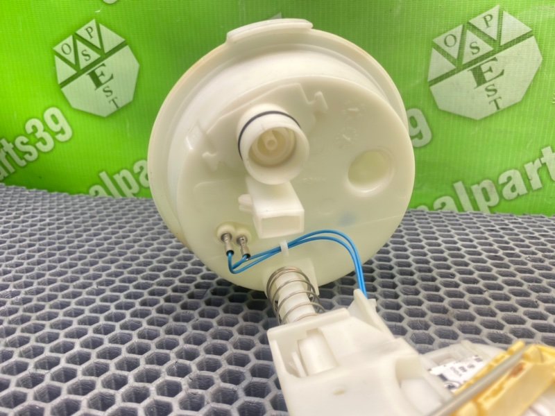 Дут, 1600 рублей, Калининград