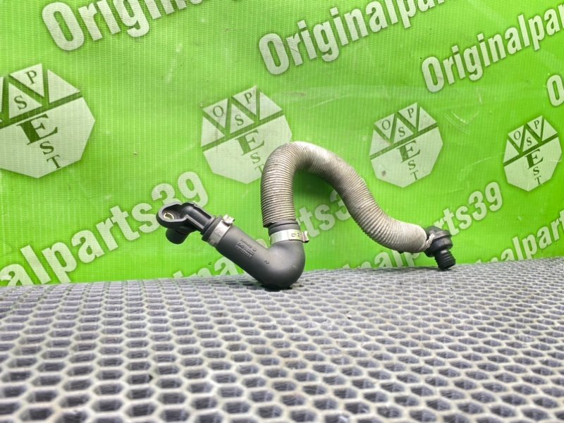 Трубка, 1600 рублей, Калининград