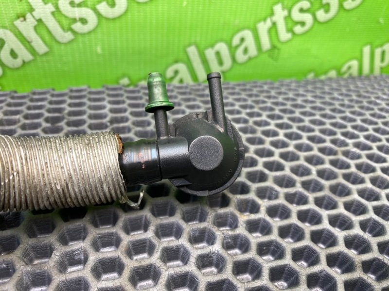 Трубка, 1600 рублей, Калининград