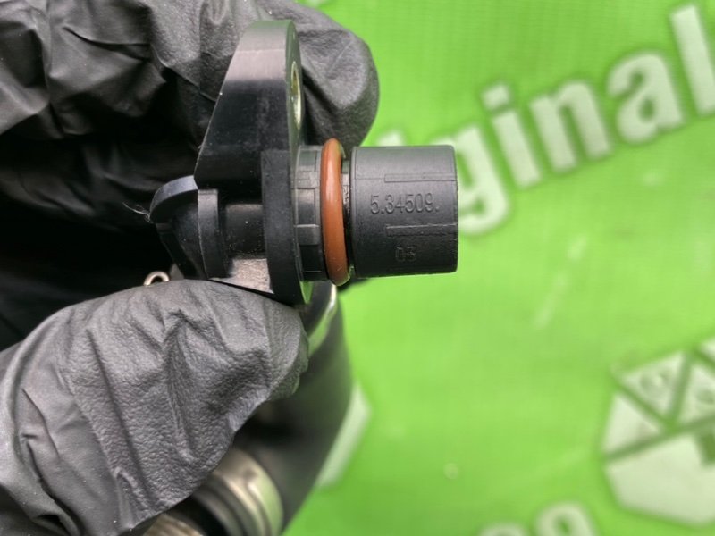 Трубка, 1600 рублей, Калининград