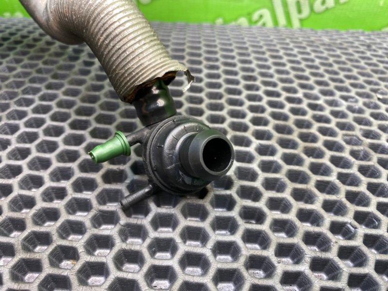 Трубка, 1600 рублей, Калининград