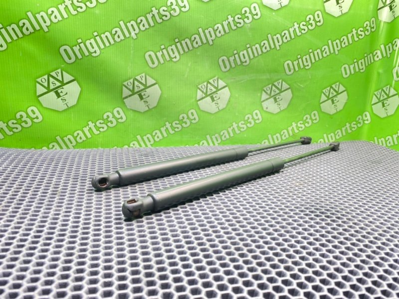 Амортизаторы багажника, 2100 рублей, Калининград