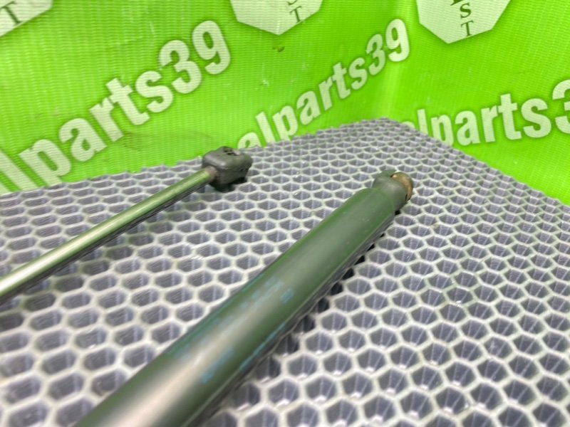 Амортизаторы багажника, 2100 рублей, Калининград