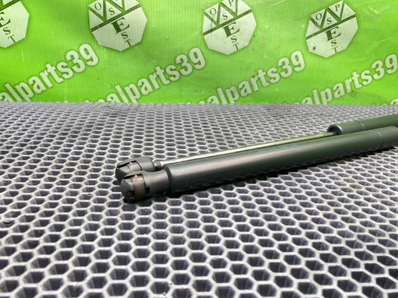 Амортизаторы багажника, 2100 рублей, Калининград