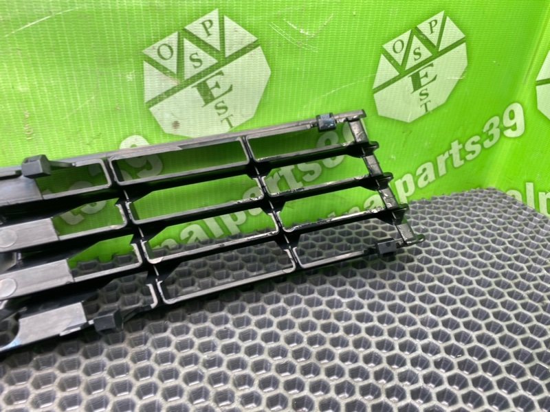 Решетки бампера, 2100 рублей, Калининград