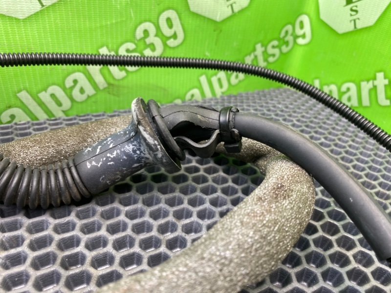 Шланг стеклоомывателя, 1400 рублей, Калининград