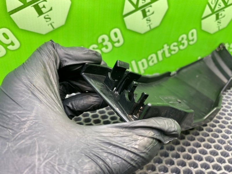 Защита, 1000 рублей, Калининград