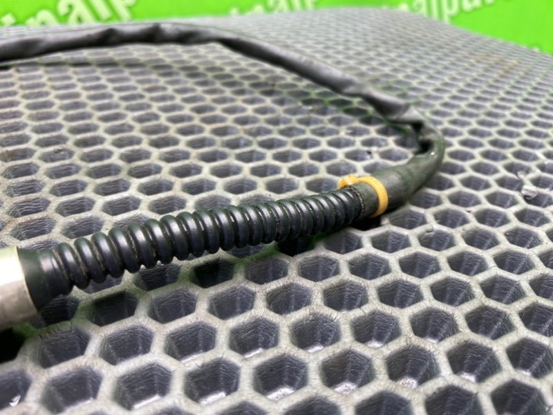 Лямбда зонд, 1500 рублей, Калининград