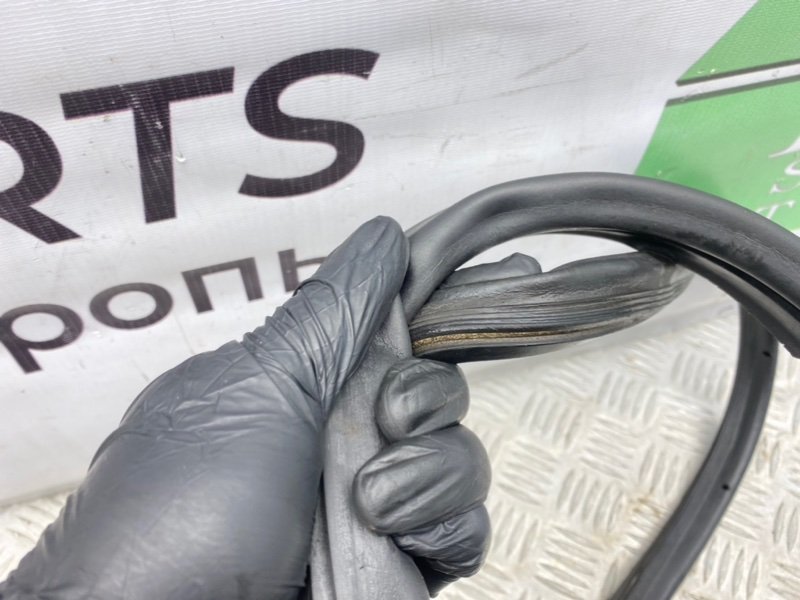 Уплотнитель двери, 1300 рублей, Калининград