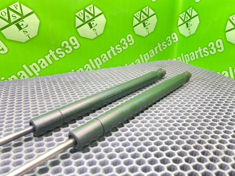 Амортизаторы багажника, 1900 рублей, Калининград