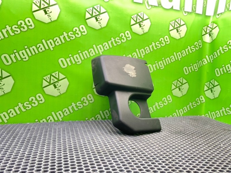 Накладка, 1000 рублей, Калининград