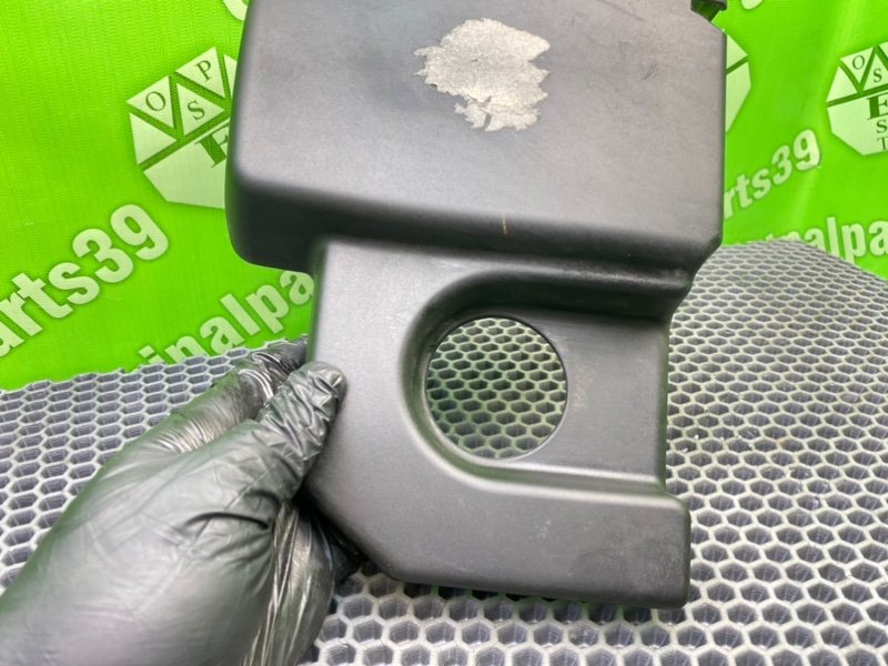 Накладка, 1000 рублей, Калининград