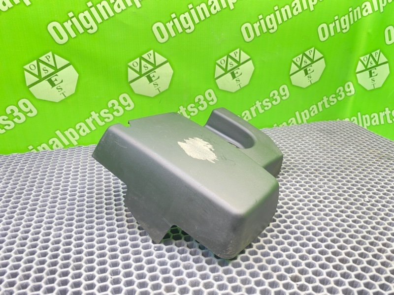 Накладка, 1000 рублей, Калининград