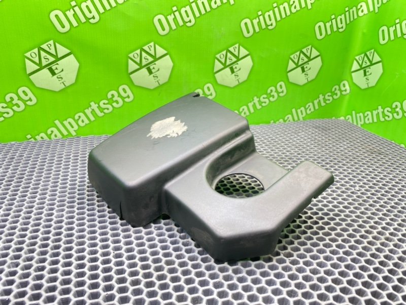 Накладка, 1000 рублей, Калининград