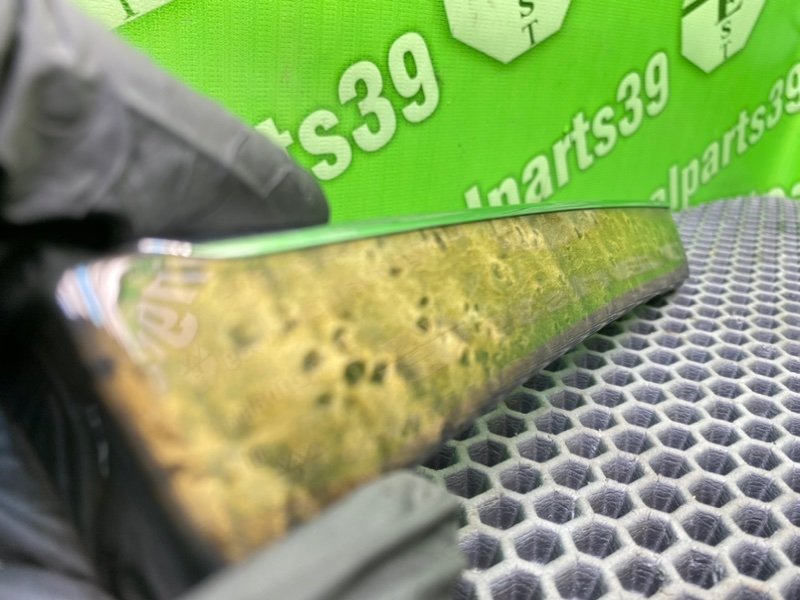 Дерево торпеды, 1000 рублей, Калининград