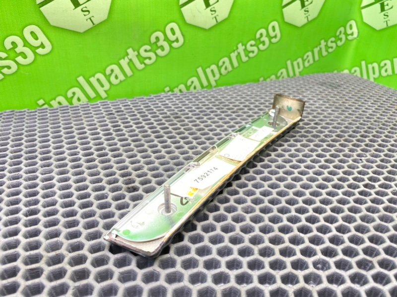 Дерево торпеды, 1000 рублей, Калининград