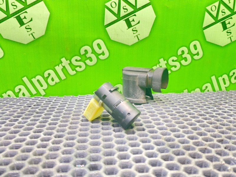 Парктроник, 1500 рублей, Калининград