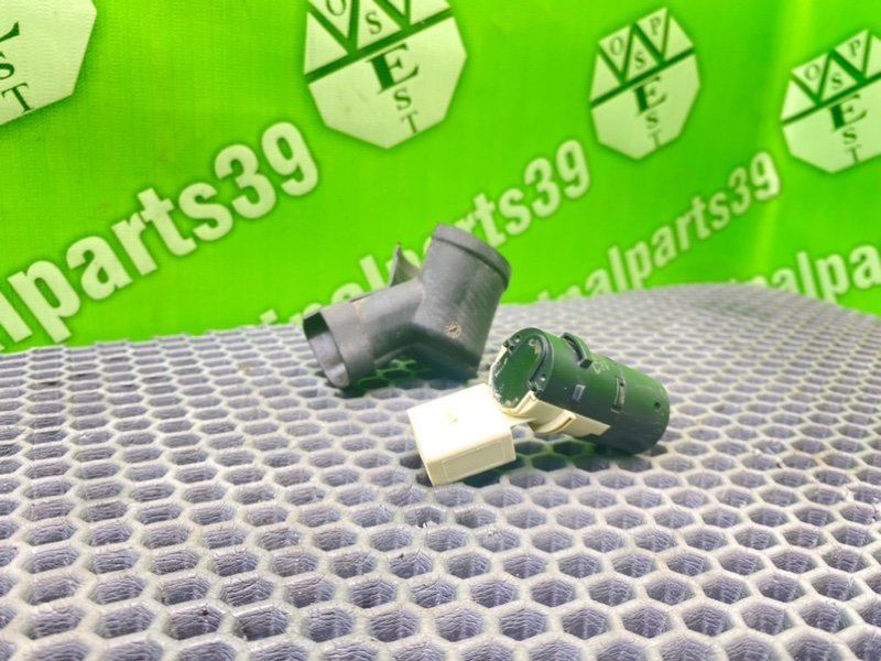 Парктроник, 1000 рублей, Калининград