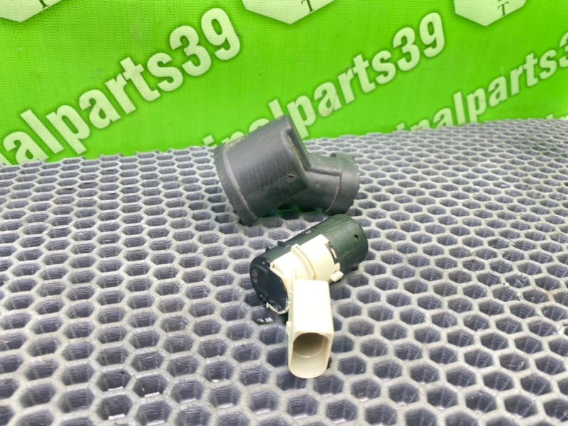 Парктроник, 1000 рублей, Калининград