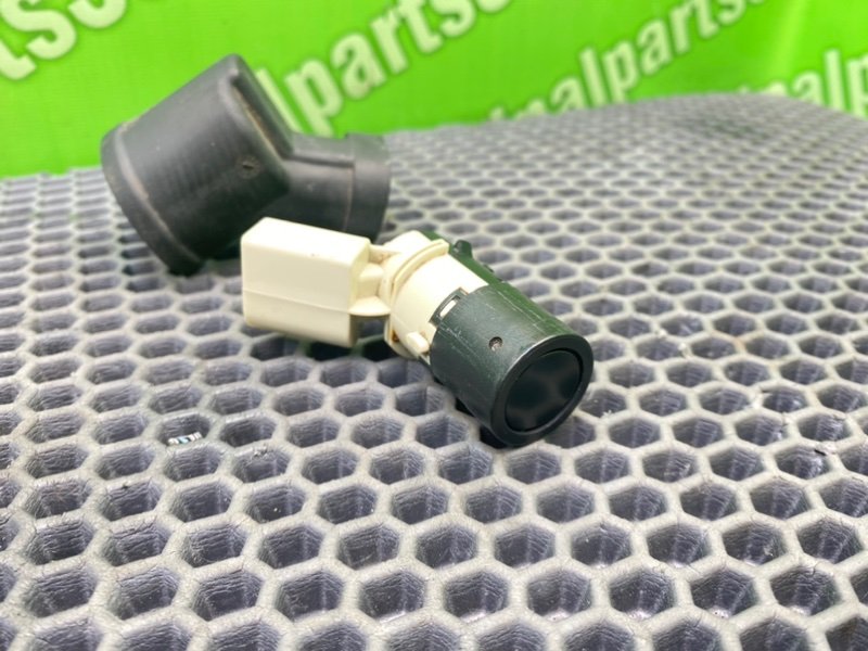 Парктроник, 1000 рублей, Калининград