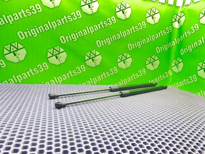 Амортизаторы багажника, 1600 рублей, Калининград