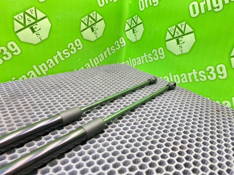 Амортизаторы багажника, 1600 рублей, Калининград