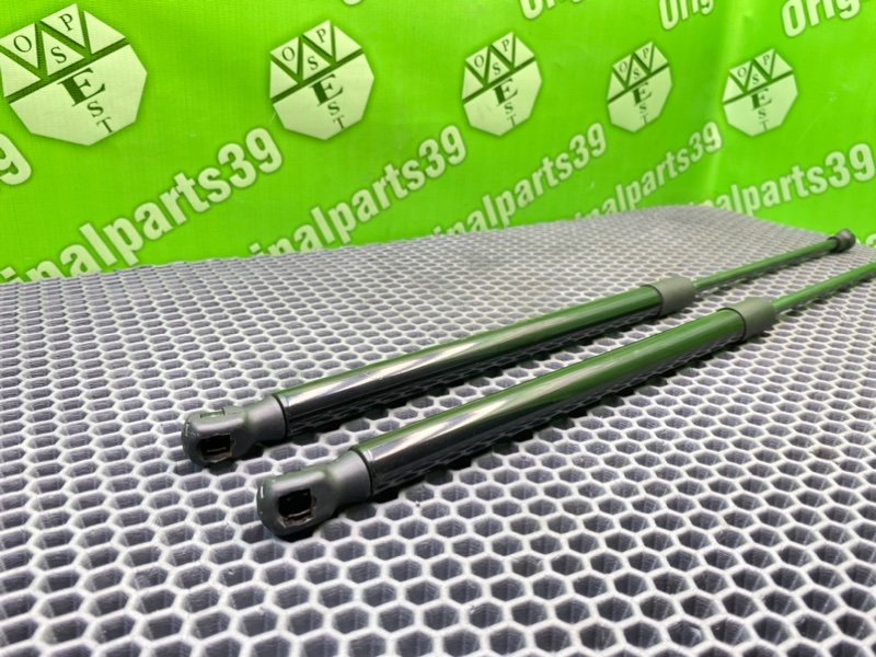 Амортизаторы багажника, 1600 рублей, Калининград